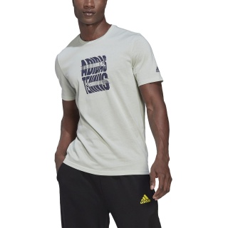 adidas Tennis-Tshirt WMB In Graphic (Baumwollmix) linengrün Herren